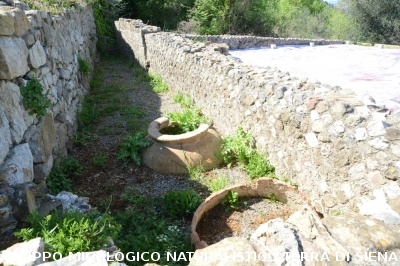Escursione naturalistica a Roselle 