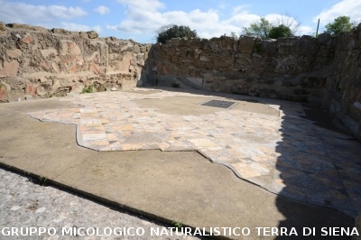 Escursione naturalistica a Roselle 
