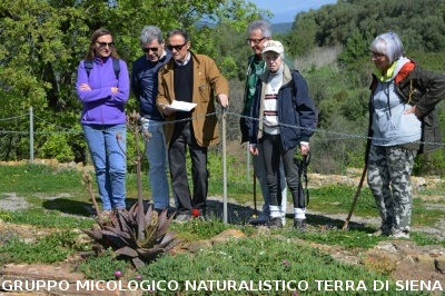 Escursione naturalistica a Roselle 