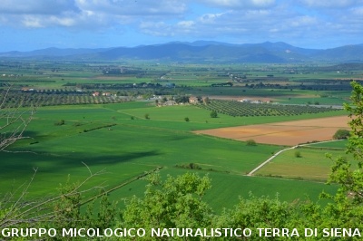 Escursione naturalistica a Roselle 