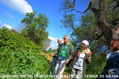 Escursione naturalistica a Roselle 