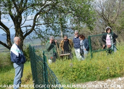 Escursione naturalistica a Roselle 