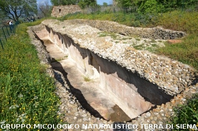 Escursione naturalistica a Roselle 