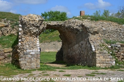 Escursione naturalistica a Roselle 