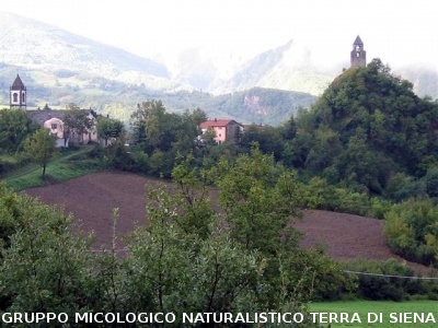 Primo Stage micologico