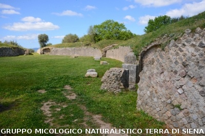 Escursione naturalistica a Roselle 