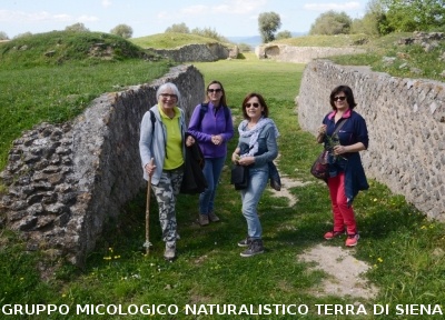 Escursione naturalistica a Roselle 