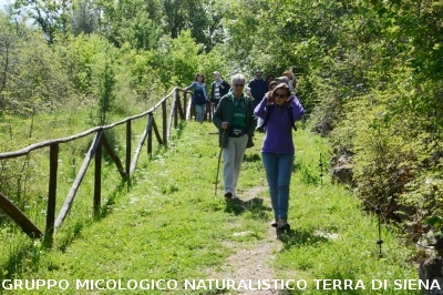 Escursione naturalistica a Roselle 