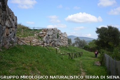 Escursione naturalistica a Roselle 
