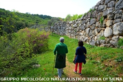Escursione naturalistica a Roselle 