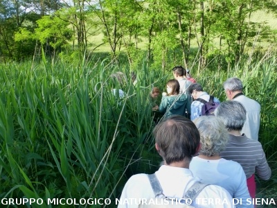 Escursione naturalistica 
