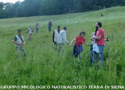 Escursione naturalistica 