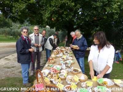 Mostra Micologica ad Ancaiano
