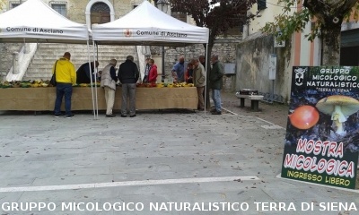 Corso Regionale ad Asciano