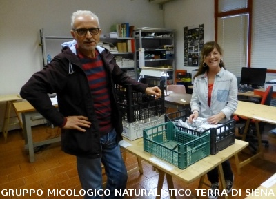 XIX Mostra Micologica Senese