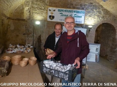 XIX Mostra Micologica Senese