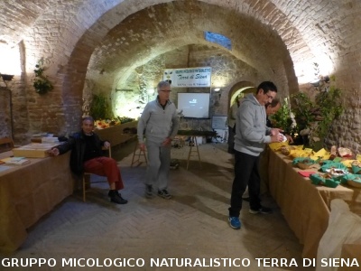 XIX Mostra Micologica Senese