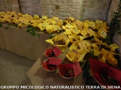 XIX Mostra Micologica Senese