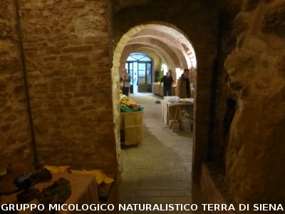 XIX Mostra Micologica Senese