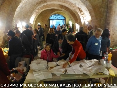 XIX Mostra Micologica Senese