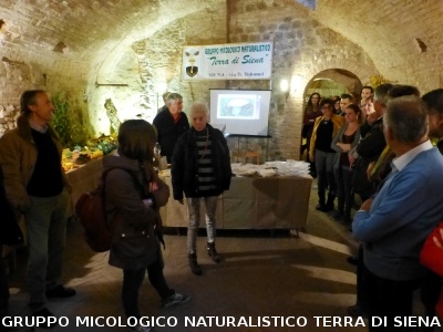 XIX Mostra Micologica Senese