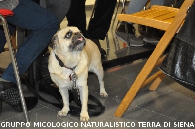Cena delle Erbe