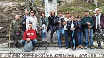 Ricerca della Calocybe gambosa a Balze di Verghereto