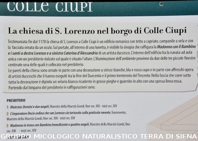 Anello Colle Ciupi - Fungaia
