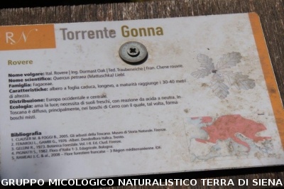 Geosito della Gonna con il Prof. Costantini
