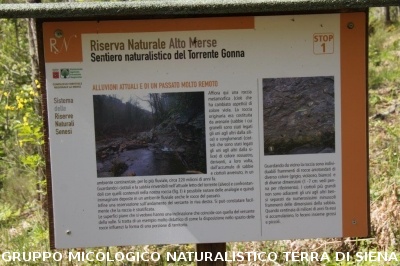 Geosito della Gonna con il Prof. Costantini