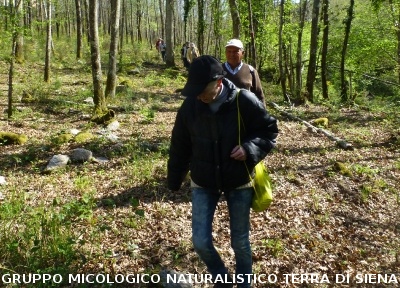 Geosito della Gonna con il Prof. Costantini