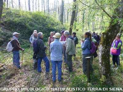 Geosito della Gonna con il Prof. Costantini