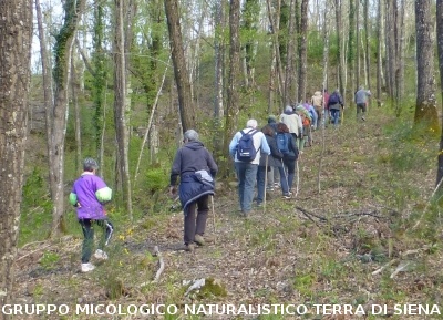 Geosito della Gonna con il Prof. Costantini