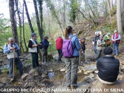 Geosito della Gonna con il Prof. Costantini