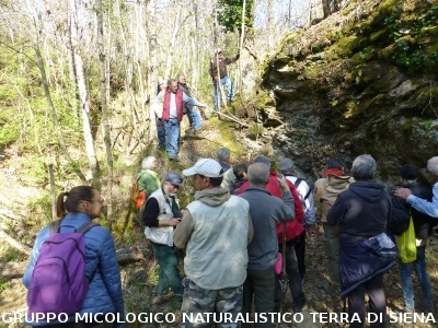 Geosito della Gonna con il Prof. Costantini