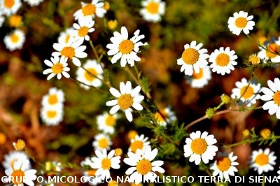 Gita a Talamone - Alberese