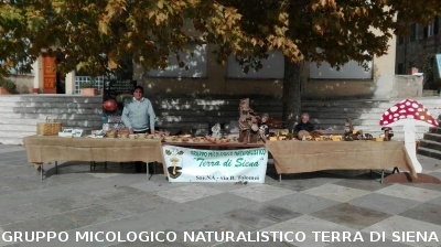 Mostra micologica a Monticiano