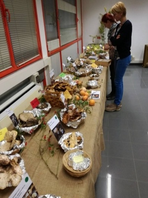 Mostra micologica a Monticiano