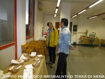 XX Mostra Micologica Senese