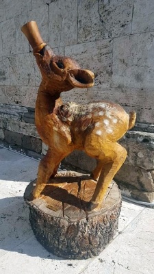 Mostra micologica a Monticiano