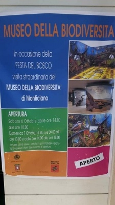 Mostra micologica a Monticiano