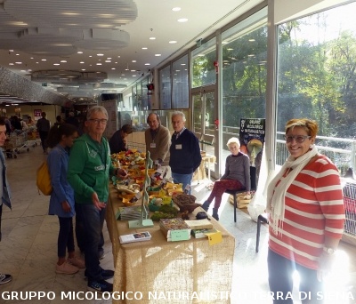 Mostra micologica alla COOP le Grondaie