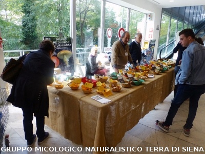 Mostra micologica alla COOP le Grondaie