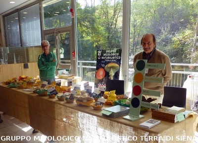 Mostra micologica alla COOP le Grondaie