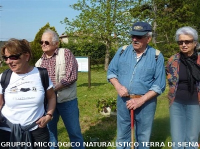 Escursione 1 sulla Montagnola Senese