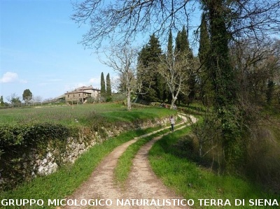 Escursione 1 sulla Montagnola Senese