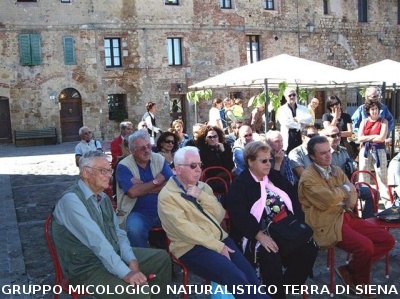 Mostra Micologica a Monteriggioni