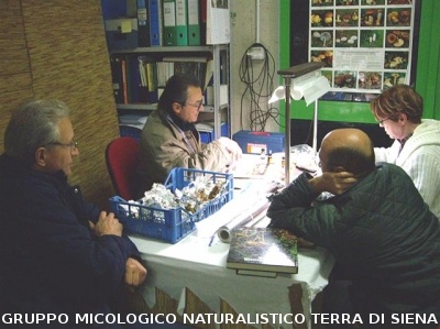 Mostra Micologica Senese
