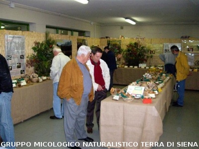 Mostra Micologica Senese