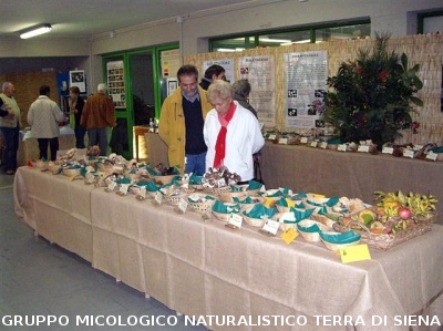 Mostra Micologica Senese